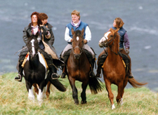 Ireland-Sligo-Explore the Donegal  - on your own